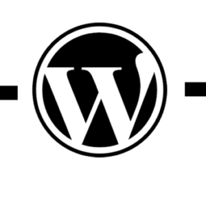 WordPress Plugins