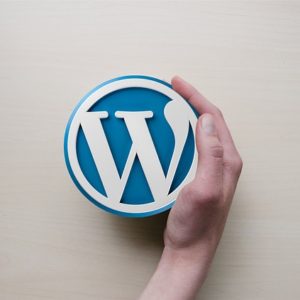 WordPress 4.8 June 2017